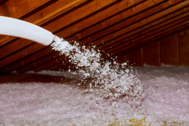 Best Residential Insulation in Junction, TX