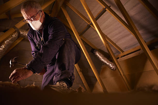Best Insulation Installation Services in Junction, TX